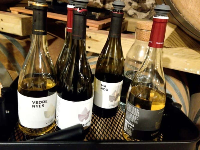 Salou: Priorat tasting Wine-Cellar Tour with hotel pickup - Quick takeaways before you go