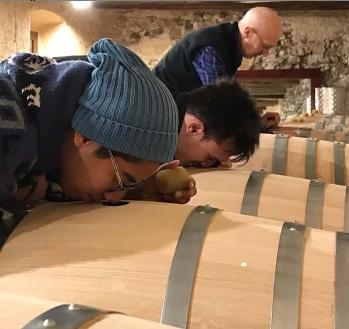 Salou: Priorat tasting Wine-Cellar Tour with hotel pickup - The tasting setup: 1 hour, 3–4 glasses, expert explanations
