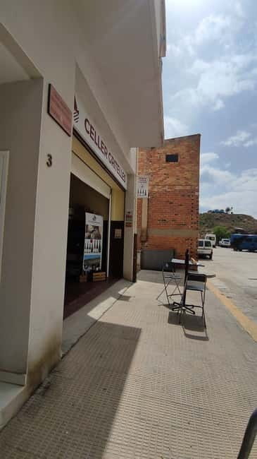 Salou: Priorat tasting Wine-Cellar Tour with hotel pickup - Who this tour suits best (and who might not love it)
