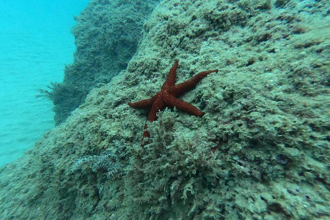 Scuba Diving For Beginners - Pickup and meeting points: how to avoid morning stress in Salou