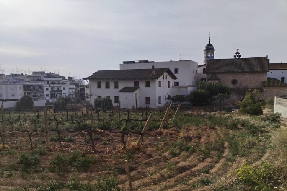 Sitges: Sailboat trip + walking tour and wine cellar tour - Celler de l’Hospital: the winery that explains the town