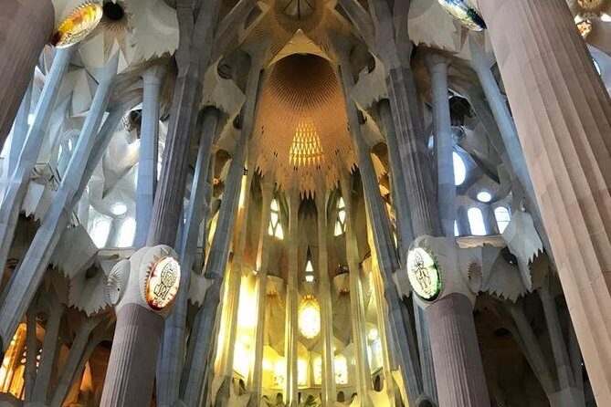 Skip The Line : La Sagrada Familia Guided Tour - Inside the basilica: how guides turn wow into meaning