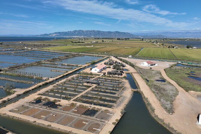 Skip the Line: MónNatura Delta de l'Ebre Entrance Ticket - Salt-pan recreation and the Delta’s seasons: what the audiovisual adds