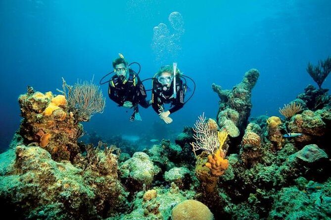 Small Group Diving Baptism in Tossa de Mar - Key Highlights You’ll Actually Feel
