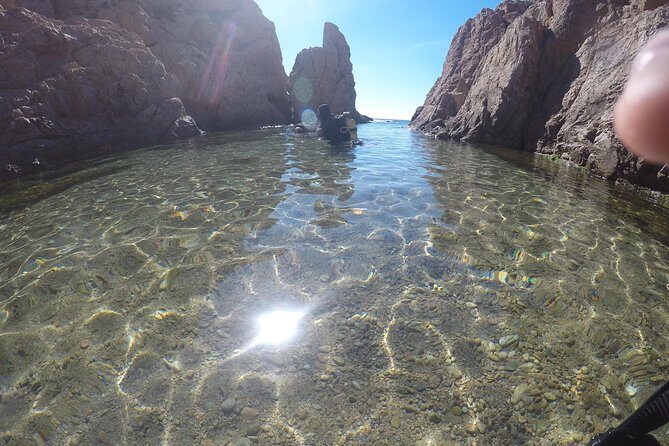 Small Group Diving Baptism in Tossa de Mar - Why This Scuba Baptism in Tossa de Mar Feels So First-Timer-Friendly