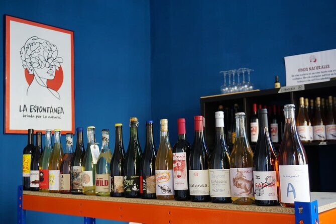Small-Group Natural and Organic Wine Tasting near Sitges - Key points at a glance