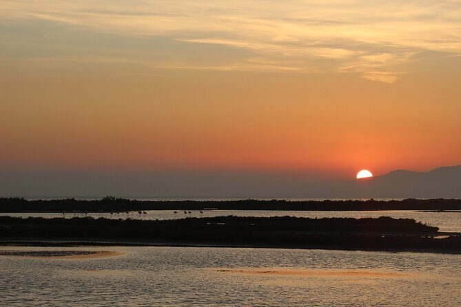 Sunset among flamingos in the Ebro Delta - Ebro Delta sunset near Tarragona: why this works