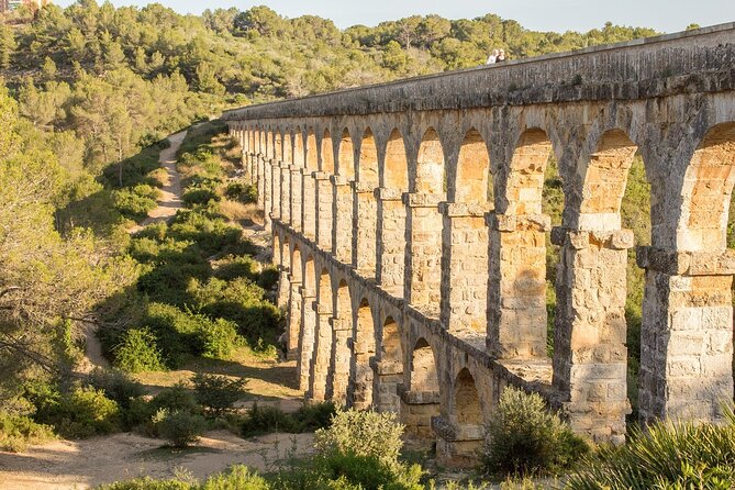 Tarragona Culinary Experience: Olive Oil & Iberian Ham Delight - About the guide: how Ivan-style storytelling makes the day easier