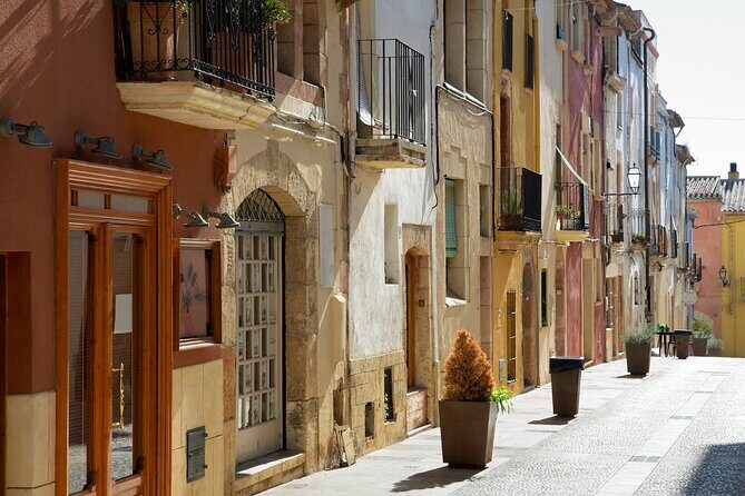 Tarragona Gems Half-Day Private Tour - Key highlights worth making time for