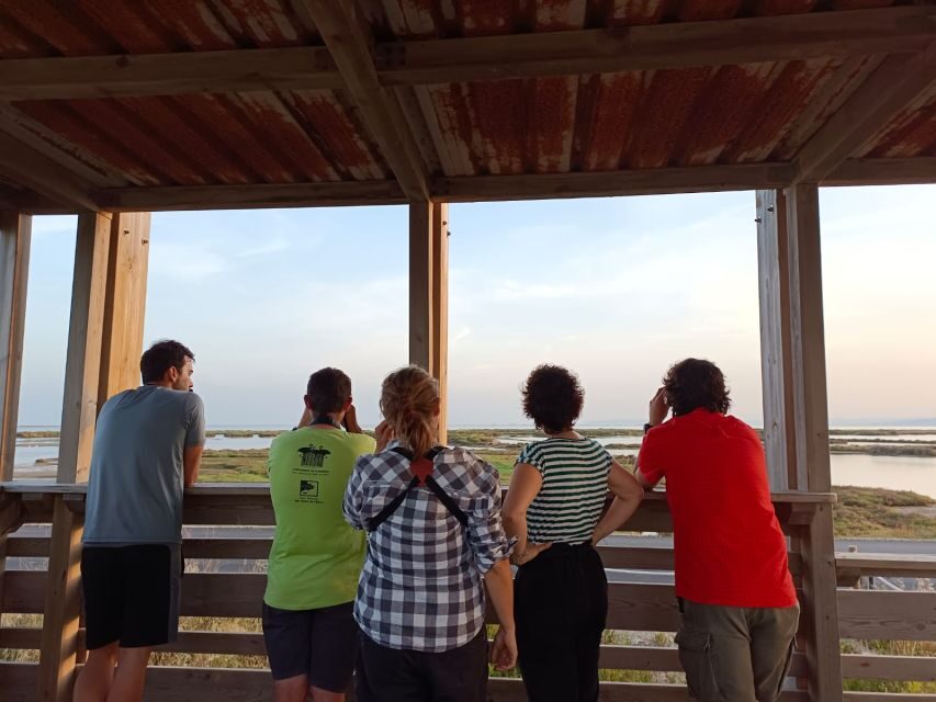 Tarragona: Southern Delta Birdwatching Private Tour - Key things I’d plan around
