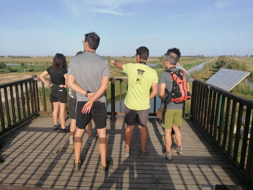 Tarragona: Southern Delta Birdwatching Private Tour - Into the Encanyissada Lagoon via el pont del través