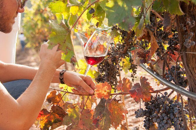 The Essence of Priorat | Private Wine Tour from Barcelona - Pickup from Barcelona city center: the practical plan for a long day