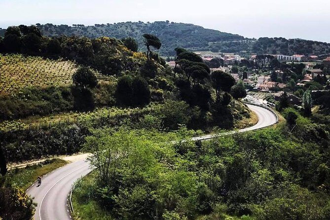 The hills around Barcelona by roadbike, private tour. Pick up/drop off included. - Why a private road-bike hills tour feels like the best Barcelona detour