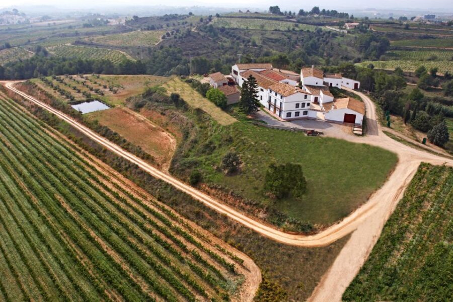 Vilafranca del Penedès: Winery Visit with Tastings - Aperitif Pairing: Cheeses and Hams With Your Wines