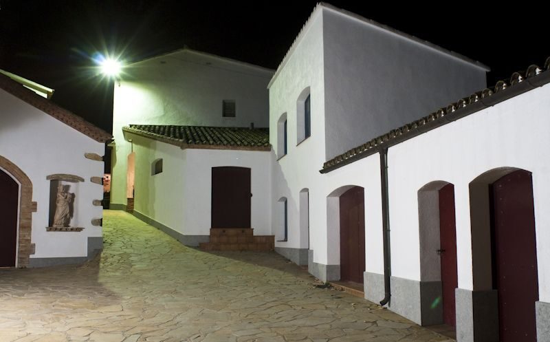 Vilafranca del Penedès: Winery Visit with Tastings - Who This Tour Fits Best (And Who Might Prefer Something Else)