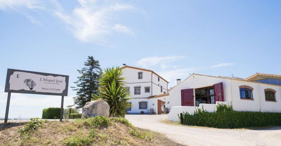 Vilafranca del Penedès: Winery Visit with Tastings - Vineyard Walk: What You Learn While You’re Walking
