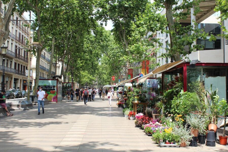 Walking Tour Gothic Quarter and Ramblas+Boat Trip - Plaza del Rei and Plaza Sant Jaume: Where Power Played Out