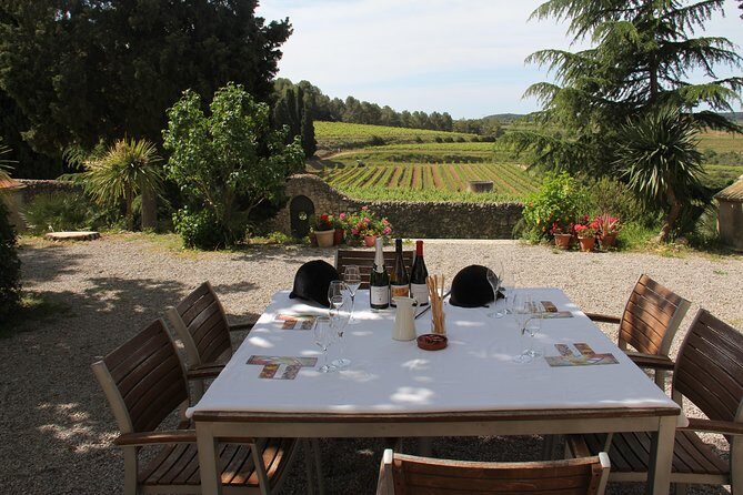 Wine & Cava Penedes Tour: Wineries, Wine Tasting and Tapas - Key things to know before you go