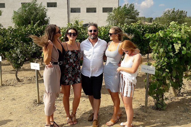 Wine & Cava Penedes Tour: Wineries, Wine Tasting and Tapas - Stop 2 at Albet i Noya: tasting plus Catalan tapas lunch