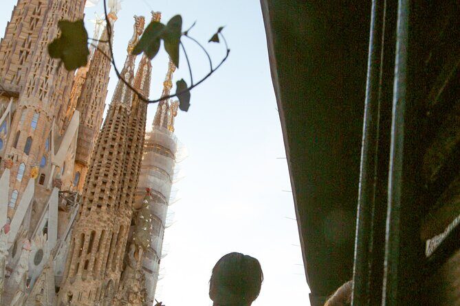 Wine tasting with a view of the Sagrada Familia - Tapas pairing that acts like dinner (without the sit-down hassle)
