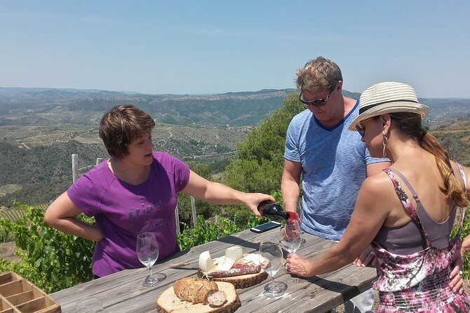 WINE TOUR PRIORAT: Visit 2 Top Wineries, Wine Tasting & Gourmet Lunch - Key highlights worth your attention