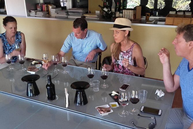 WINE TOUR PRIORAT: Visit 2 Top Wineries, Wine Tasting & Gourmet Lunch - Why the Expert Guidance Makes This Feel Like a Real Tour