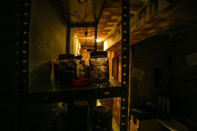 Xcape Room Bcn: The diary of Miko - The Timer, the Fear Factor, and Why You Might Need Hints